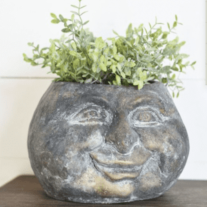 A plant pot shaped like a smiling human face with green foliage.